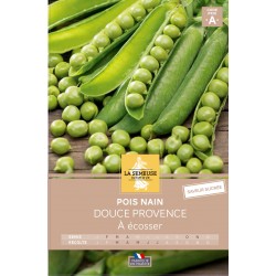 Graines Pois Nain Douce...