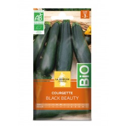 Graines Courgette Black...