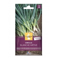 Graines Ciboule Blanche...