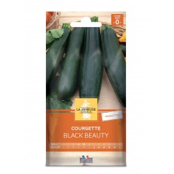 Graines Courgette Black...