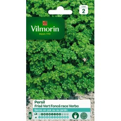 PERSIL Frisé vert foncé...