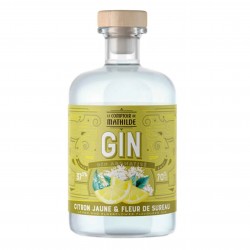 Gin Aromatisé Citron...