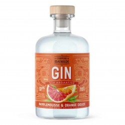 Gin Aromatisé Orange...