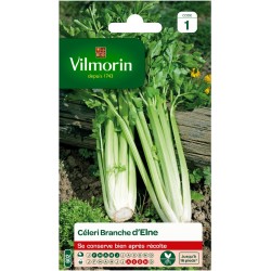 VILMORIN CÉLERI BRANCHE...