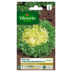 VILMORIN CHICORÉE FRISÉE...