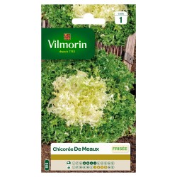 VILMORIN CHICORÉE FRISÉE De...