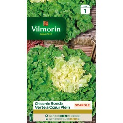VILMORIN CHICORÉE RONDE...