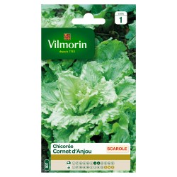 VILMORIN CHICORÉE SCAROLE...