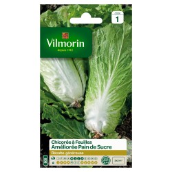 VILMORIN CHICORÉE À...