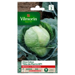 CHOU CABUS Tête de pierre...