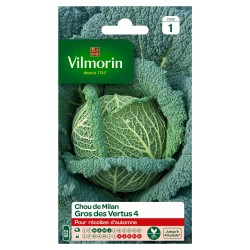 CHOU DE MILAN Gros des...