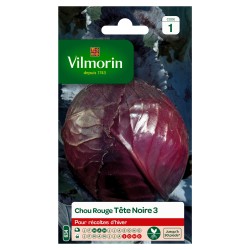 VILMORIN CHOU ROUGE Tête...