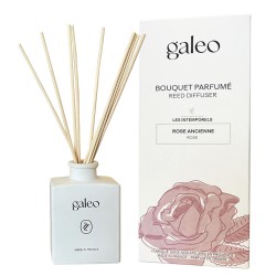 Bouquet Parfumé Rose...