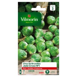 VILMORIN CHOU DE BRUXELLES...