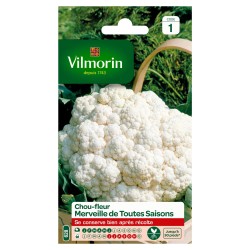 VILMORIN CHOU-FLEUR...