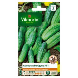 CORNICHON Parigyno hf1...