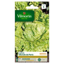 VILMORIN LAITUE BATAVIA...