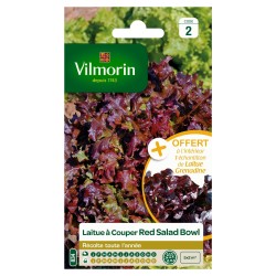 LAITUE A COUPER Red salad...