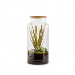 TERRARIUM autonome Jungle L...