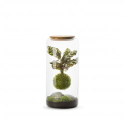 TERRARIUM autonome Mia L...