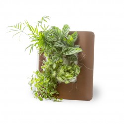 COMPOSITION interieur...