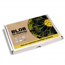 BLOB Kit elevage Physarum...