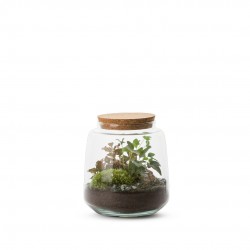 TERRARIUM autonome Izumi L...
