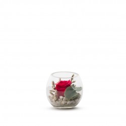 VERRINE feuillages + Rose...