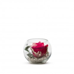 VERRINE feuillages + Rose...