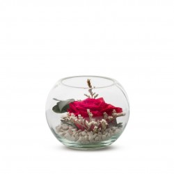 VERRINE feuillages + Rose...