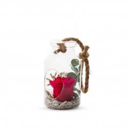 VERRINE feuillages + Rose...