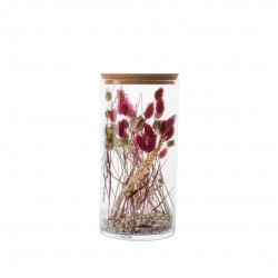 VERRINE Tube M FLR-SEC...