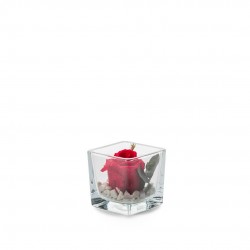 VERRINE feuillages + Rose...