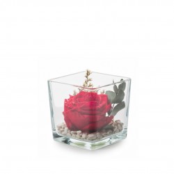 VERRINE feuillages + Rose...