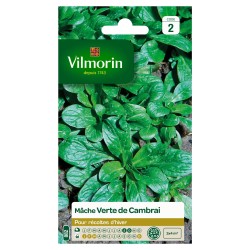 VILMORIN MÂCHE Verte De...