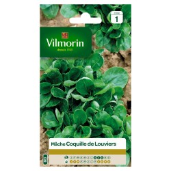 MÂCHE Coquille de louviers...