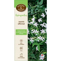 JASMINUM officinale PALIS...