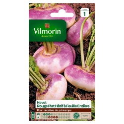 VILMORIN NAVET Rouge Plat...