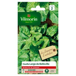 OSEILLE Large de belleville...