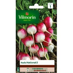 VILMORIN RADIS National 2...