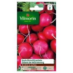 VILMORIN RADIS Rond...
