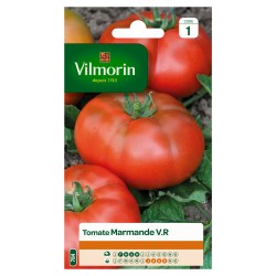 VILMORIN TOMATE Marmande...