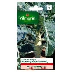 VILMORIN CHOU FOURRAGER...