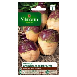 RUTABAGA à collet rouge...