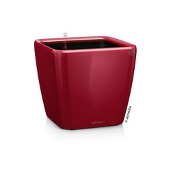 Pot carré réserve d'eau...