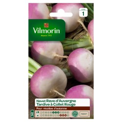 NAVET Rave d'auvergne...