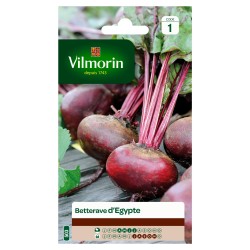 BETTERAVE D'égypte SACHET...