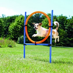 Dog activity anneau agility...