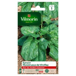 VILMORIN ÉPINARD Monstrueux...