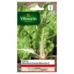 POIRÉE Blonde a carde...